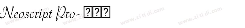 Neoscript Pro字体转换